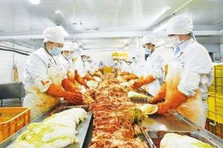 吉林農(nóng)產(chǎn)品加工業(yè)加速向“三化”發(fā)展，土特產(chǎn)迎來新機遇