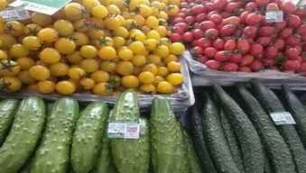 大石橋名優特農產品篇 品味遼南風土的舌尖瑰寶