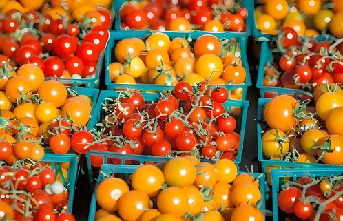 村村通冷鏈 構建土特產產銷一體化生態集群，激活產業鏈新動能