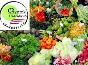 阿披拉迪 推動有機農產品走出國門，讓泰國土特產香飄世界