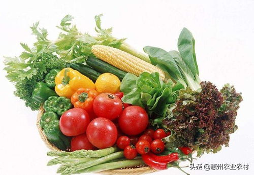 嶺南珍饈進京來 廣東名特優新農產品閃耀京城